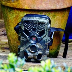 Wildlife cameras for observing nocturnal wildlife