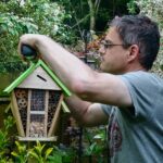 Putting up a bug box