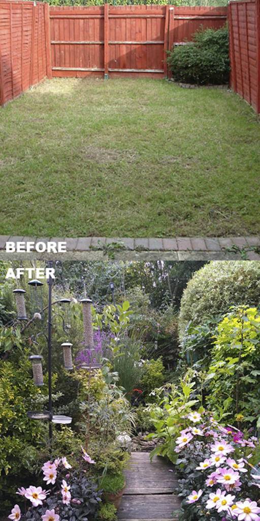 From bare lawn to wildlife garden