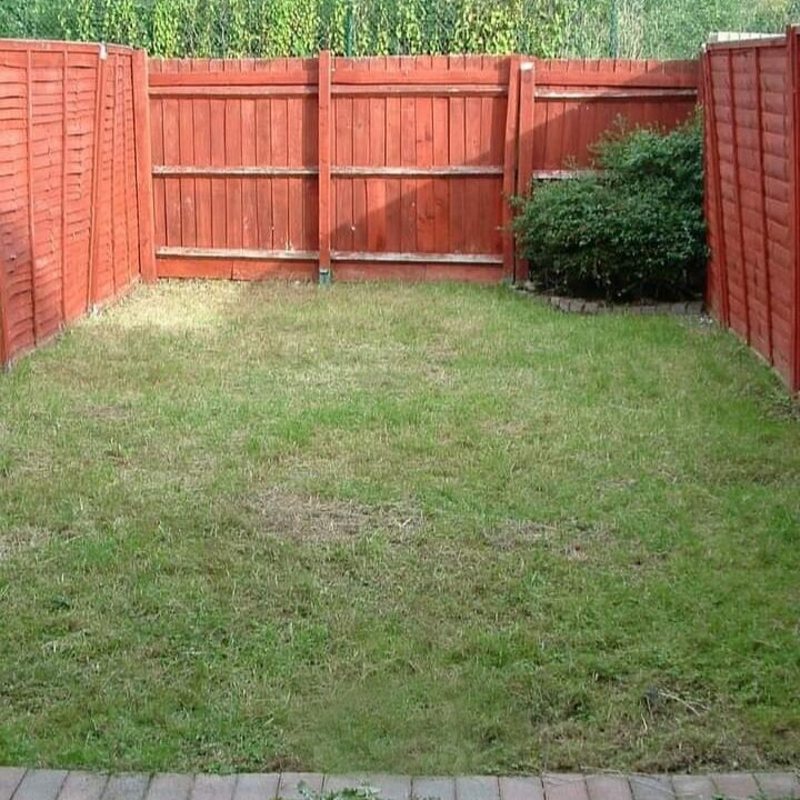 The garden started as a blank canvas lawn